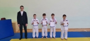 НОВОГОДНИЙ ТУРНИР ПО ДЗЮДО СРЕДИ МАЛЬЧИКОВ 2011-2012 Г.Р., 2013-2014 Г.Р., 2015-2016 Г.Р. 