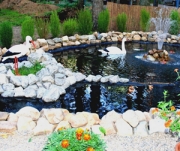 РУСЬ